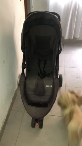 Vendo 