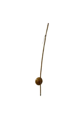 Berimbau Profissional Gope envernizado 