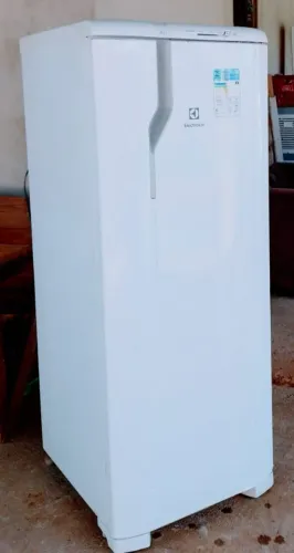 Geladeira Eletrolux Degelo Seco 110vlts