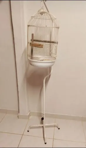 Gaiola de pé