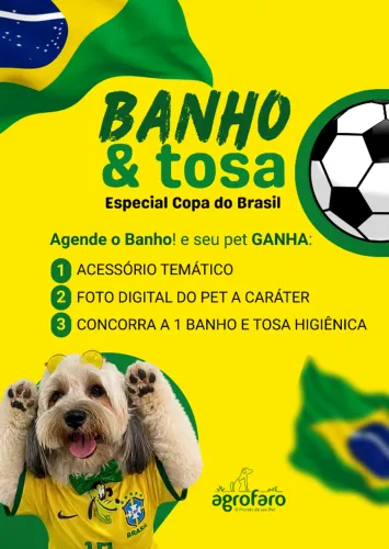 Banho e Tosa especial copa do Brasil