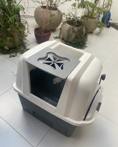 Banheiro para gatos