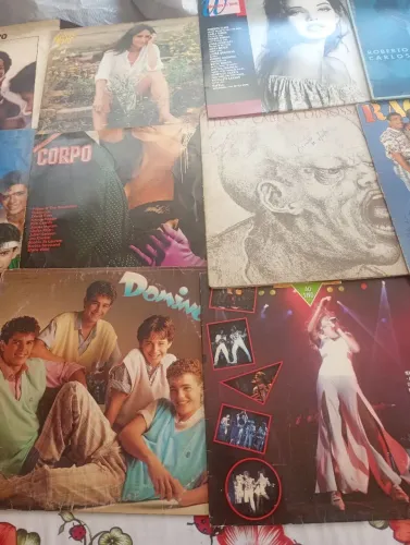 Para colecionadores. Discos de vinil com vários títulos!