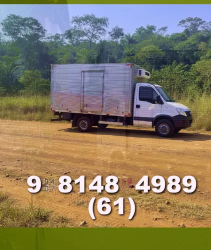 Caminhão Bau Frete Bau Frete que funciona para sua empresa