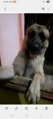 Doação 