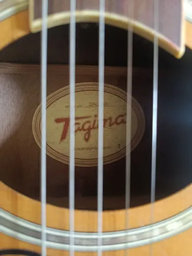 Violão Elétrico