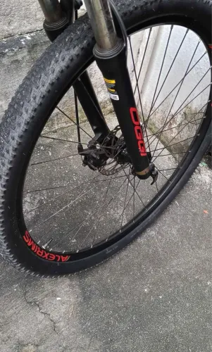BIKE ARO 29 OGGI