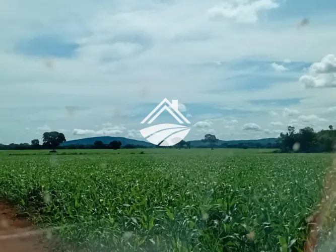 Fazenda para Venda em Talismã, área rural de ampla expansão agropecuária