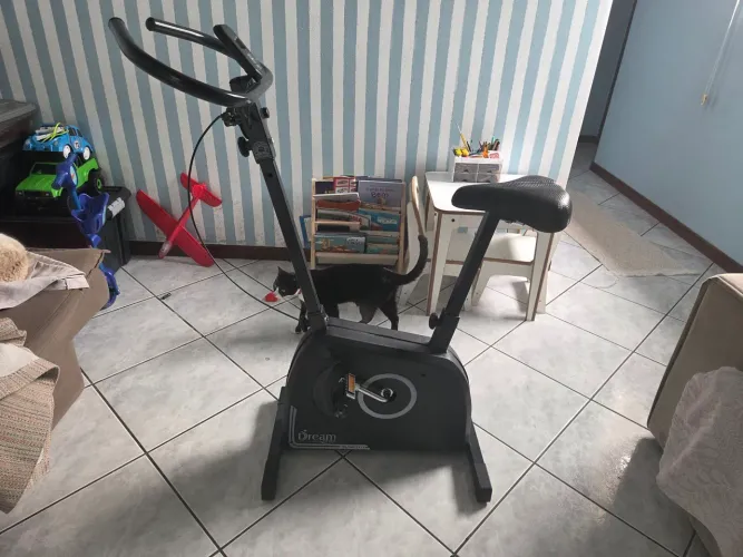 Bicicleta ergometrica