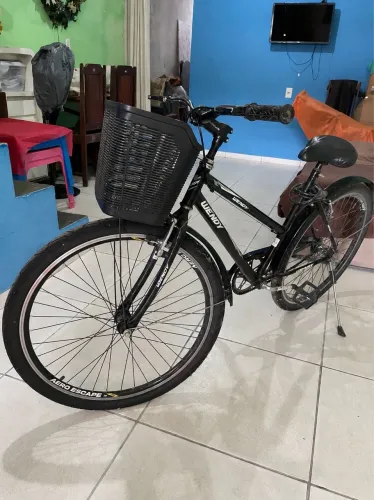 Bicicleta