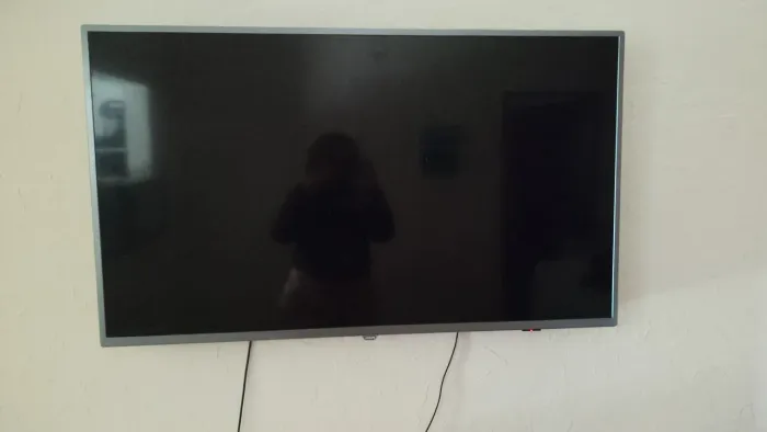 Tv 50 polegadas smart,tudo funcionando controle original