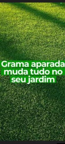 Sempre verde gramas cortando e protegendo