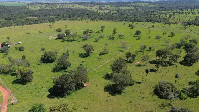 FAZENDA CAMPINA VERDE MG 