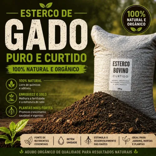 Esterco gado curtido