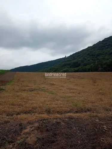 Chácara à Venda em Gleba 01, Tamarana - PR