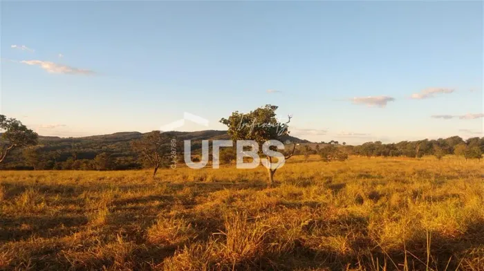 FAZENDA NO MUNICÍPIO DE VARJÃO