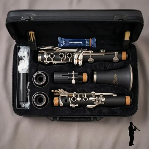 Clarinete Shelter