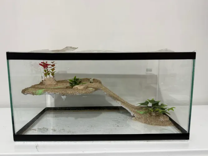 Terrário novo com plataforma decorada aquaterrario 