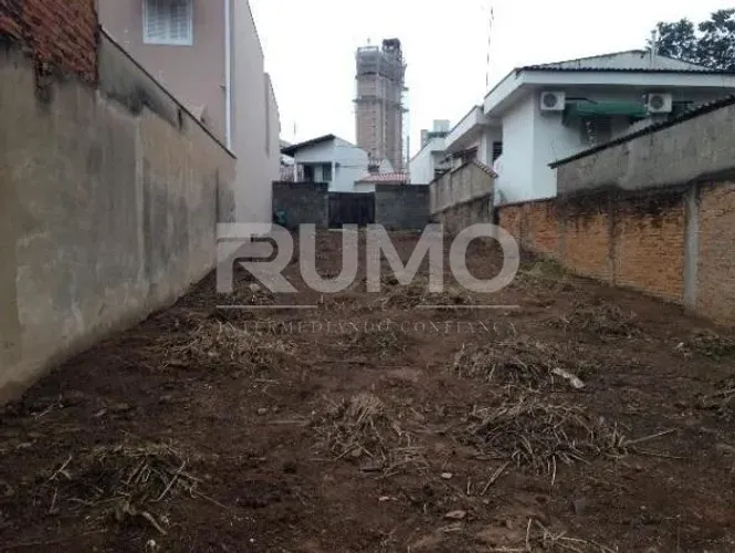 terreno - Cambuí - Campinas