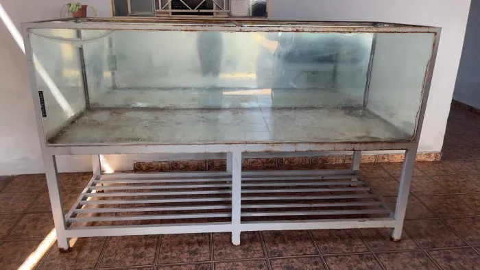 Aquário com suporte em ferro, 1.000 Litros