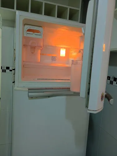 Geladeira Frost Free Electrolux DF50