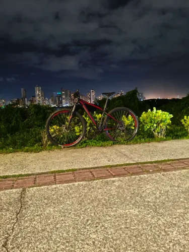 Specialized Rockhopper Aro 29
