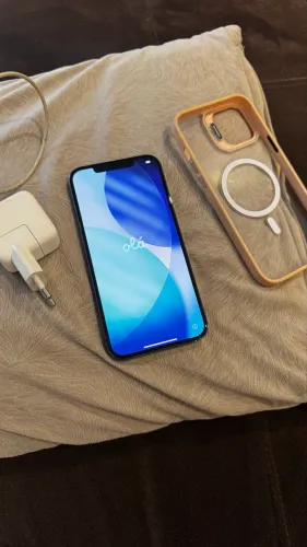 iPhone 12 Pro Max 256