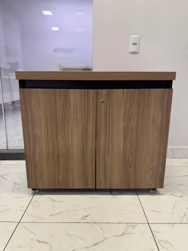 Armário de Escritório 2 Portas com Rodízios