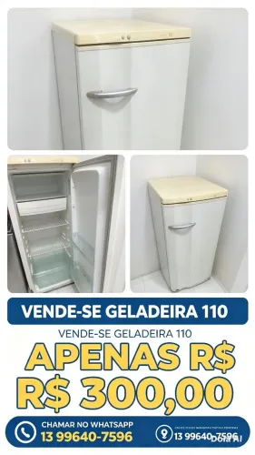 Geladeira 110