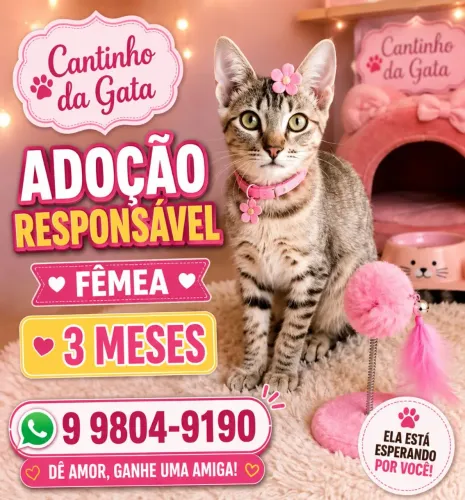 SÓ LINDEZAS