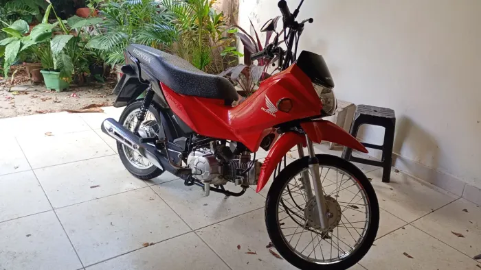 Honda Pop