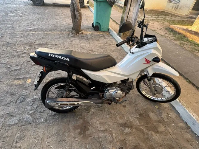 POP 110 2019/2020