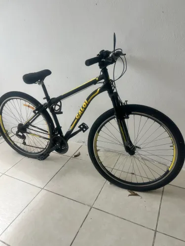 Bicicleta 