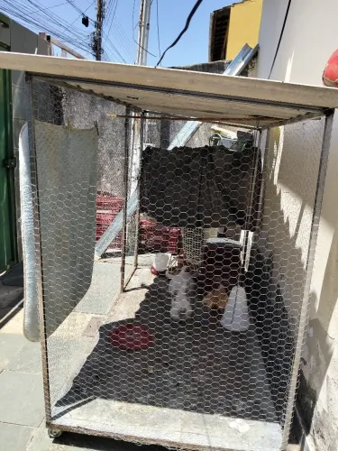 Estou desfazendo desse galinheiro com 2 galinha estou pedindo 850 nele se tiver interesse