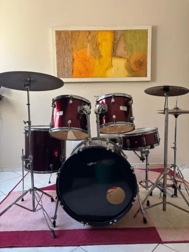 Bateria Planet Drums 5 Peças - Completa com Pratos e Peles Williams Target