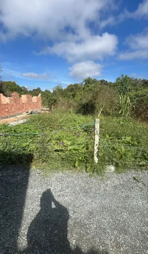 Terreno em contenda São José dos Pinhais