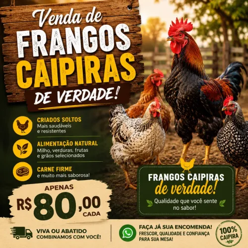 Frangos caipiras