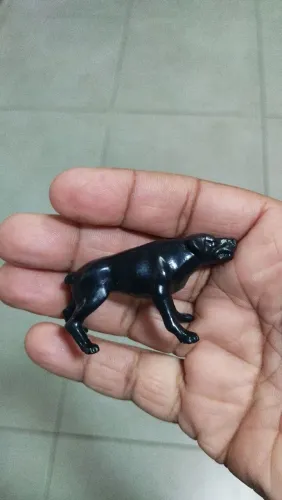 Cão Sucata Estrela