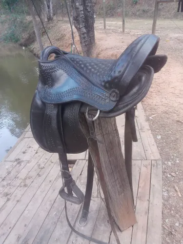 Sela australiana