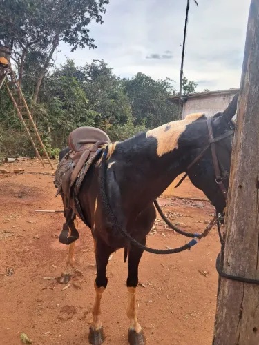 Vende-se