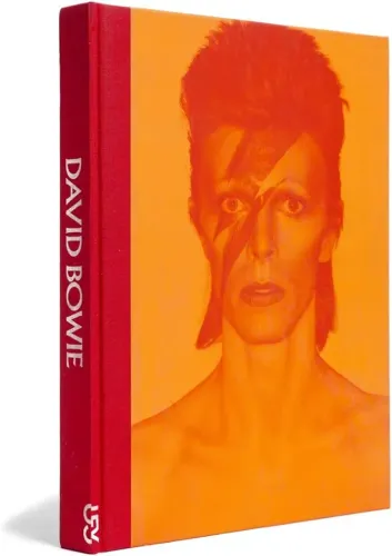 Livro - David Bowie (biografia) - Vários Autores; David Bowie - novo