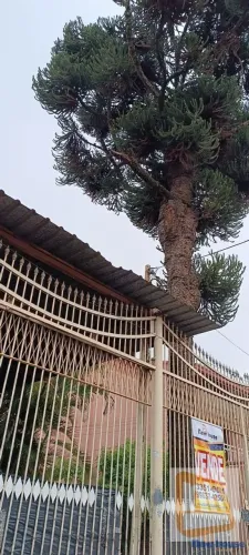 Casa 4 quartos para Venda Taguatinga Sul, Brasília