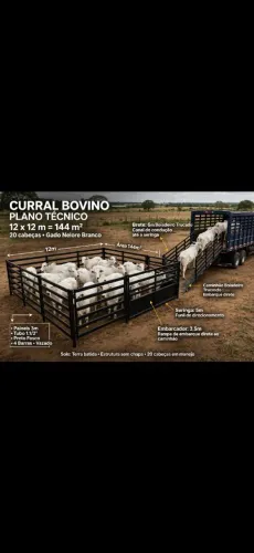 Curral