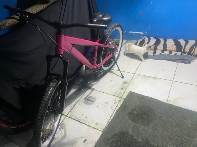 Bike gios
