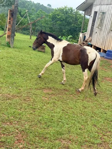 Vende se 