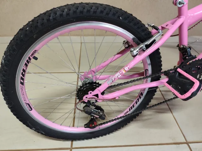 Bicicleta 