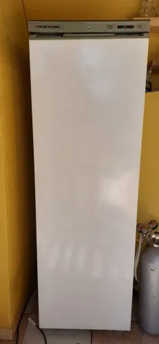 Freezer Prosdocimo F25