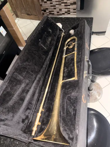 Trombone Doplhin + case
