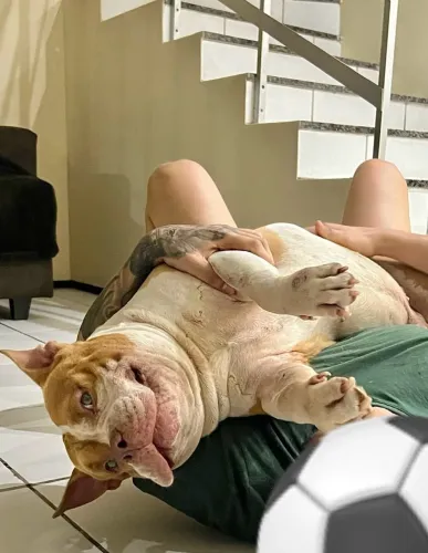 Toretto procura uma nova família