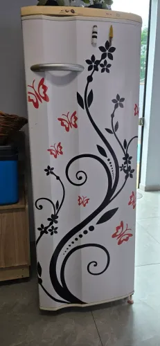 Vendo geladeira electrolux rde30 em ótimo estado